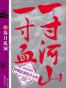 一寸河山一寸血03：落日孤城