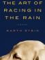 The Art of Racing in the Rain