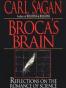 布鲁卡的脑