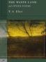 The Waste Land and Other Poems