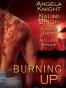 Burning Up