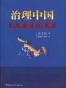 治理中国