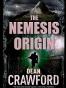 The Nemesis Origin