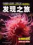 发现之旅:艺术