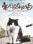 乘公交车的猫