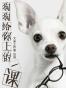 狗狗给你上的一课——20个高效工作小诀窍 