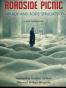 Roadside Picnic